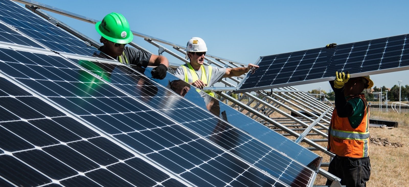 BSES & The Green Transition